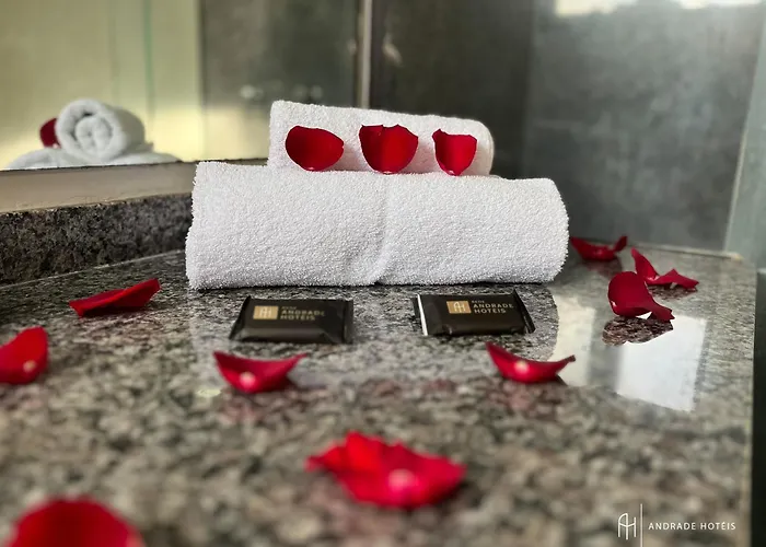 Rede Andrade Vernon Curitiba